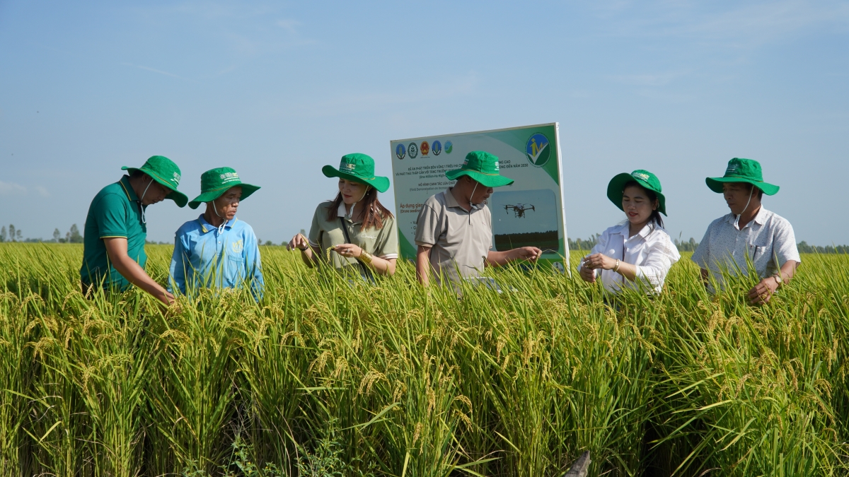 Ứng dụng cơ giới hoá, công nghệ số vào sản xuất nông nghiệp ở ĐBSCL